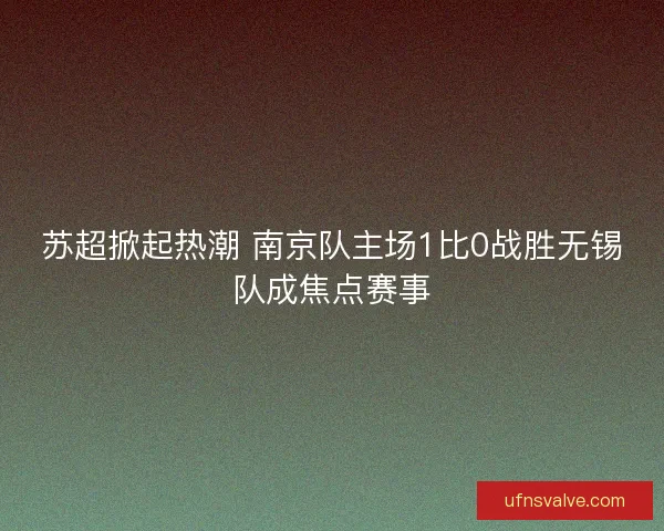 苏超掀起热潮 南京队主场1比0战胜无锡队成焦点赛事