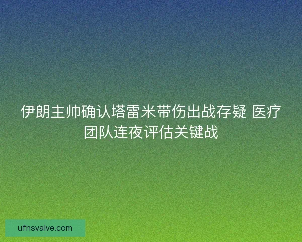伊朗主帅确认塔雷米带伤出战存疑 医疗团队连夜评估关键战 伊朗主帅确认塔雷米带伤出战存疑 医疗团队连夜评估关键战