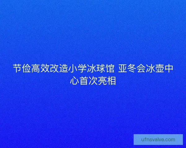 节俭高效改造小学冰球馆 亚冬会冰壶中心首次亮相