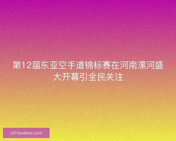 第12届东亚空手道锦标赛在河南漯河盛大开幕引全民关注